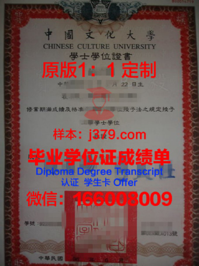 中国石油大学（北京）学士学位教育探析